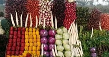 "طبيعى بدون كيماوى".. اتفرج على جمال الخضار وألوانه فى دمياط.. لايف