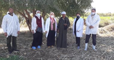 بيطري الأقصر تشكل لجنة تقصي وتوعية وتحصين بمدينة أرمنت.. صور