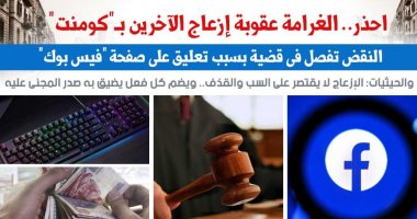 تعرف على عقوبة التعليقات المزعجة على "السوشيال ميديا".. نقلا عن "برلمانى"
