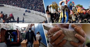 العالم هذا الصباح.. تتويج أصحاب الطيور الفائزة باختراق مسافة 900 ميل ببريطانيا.. كرنفال مصارعة الهجن التقليدى جمال وقوة وزينة كمان.. الفلبين توفر لقاحات كورونا فى الصيدليات والعيادات لتسريع حملة الجرعات المعززة