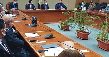 اجتماع موسع لرئيس اتحاد المستوردين الكوريين مع المجالس التصديرية المصرية