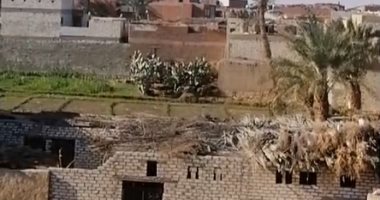 تفاصيل صادمة ..زوج يقتل زوجته فى الفيوم ويحاول الانتحار.. فيديو