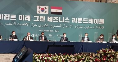 مسؤول بـ"هيونداي": إنتاج 320 عربة مترو محليًا في مصر.. ونخطط للتصدير