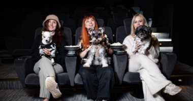 سينما بإنجلترا تسمح باصطحاب الكلاب أسبوعيا وتعرض أفلاما خاصة لها.. فيديو