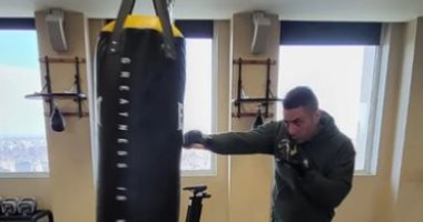 رفض دعوى أحمد الفيشاوى لضم ابنته لينا لحضانته