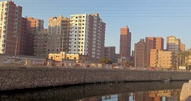 برودة خفيفة وشمس ساطعة بكفر الشيخ.. لايف