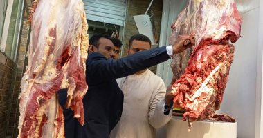 "بيطرى القاهرة" يضبط طنا و150 كيلو لحوم غير صالحة للاستهلاك الآدمى