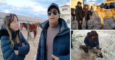 "هيلجا" سائحة ألمانية أحبت مصر وتزوجت شابا بدويا يشاركها حب الرفق بالحيوان.. أنشآ مزرعة وإسطبلا مزودا بعيادة بيطرية لعلاج الحيوانات المصابة والمريضة بمطروح.. يستهدفان استعادة حيوية الأحصنة الهزيلة.. صور وفيديو