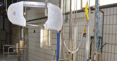  ذبح 83513 رأس ماشية و 743997 طائرا في المجازر الحكومية بعد تطويرها بالإسكندرية