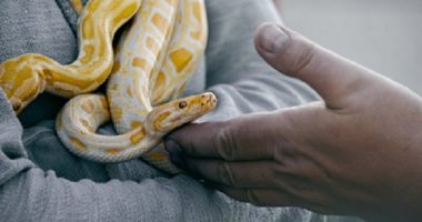 تفسير الأحلام.. 6 رموز لو شفتها فى أحلامك تبقى محسود