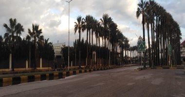 طقس دمياط الآن.. شمس غائمة وأجواء باردة وانخفاض فى درجات الحرارة "فيديو لايف"