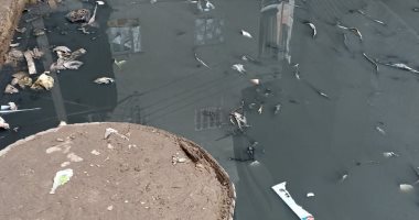 شكوى من سوء الصرف الصحى بعزبة الهاويس بالدقهلية.. وشركة المياه ترد