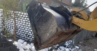 محافظة الجيزة تزيل 95 تعديا على أملاك الدولة بالعياط ومنشأة القناطر وأطفيح
