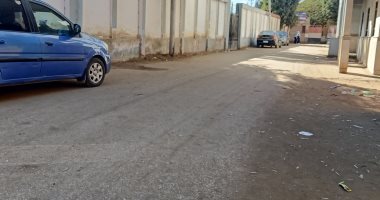 طقس بنى سويف الآن.. أجواء باردة وسطوع لأشعة الشمس (فيديو)