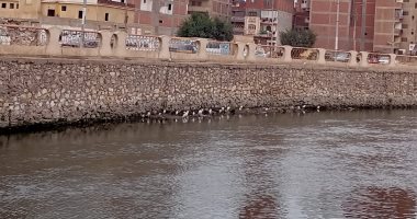 أمطار بشمال كفر الشيخ وسماء ملبدة بالغيوم وصقيع وتوقف حركة الملاحة والصيد