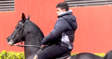 على طريقة والده.. ابن أحمد السقا يبرز مهارته بركوب الخيل على نغمات الغزالة رايقة