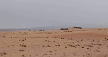 طقس شمال سيناء.. أجواء باردة وتوقف سقوط الأمطار وسطوع الشمس