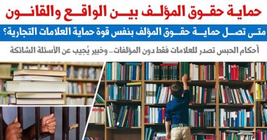 حماية حقوق المؤلف بين الواقع والقانون.. نقلا عن "برلمانى"