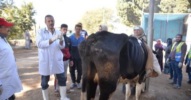 بيطرى سوهاج ينظم قافلة لتحصين الحيوانات ضد الطفيليات الداخلية بقرية سفلاق.. صور