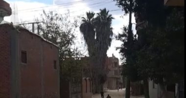 الفسيخ القاتل.. وجبة تنهي حياة طفلة وتصيب 3 من أشقائها بتسمم بأطفيح (فيديو)