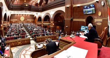 لجنة الصحة بالشيوخ تستكمل مناقشة قضية الزيادة السكانية فى اجتماعها غدا