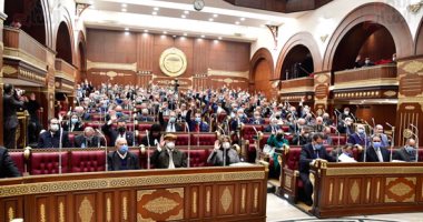 مجلس الشيوخ يقر اختصاصات العاملين بالضبطية القضائية بقانون العمل