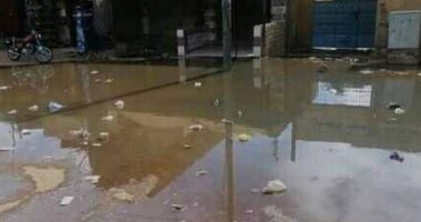 أهالى قرية أبو الريش بأسون يشكون تراكم مياه الصرف الصحى.. والشركة ترد