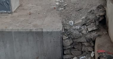 انتشار القمامة بقرية صهرجت الكبرى مركز ميت غمر الدقهلية.. والمحافظ يرد