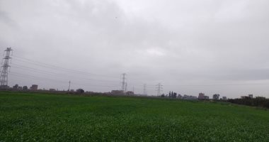 أمطار خفيفة وطقس بارد وانتشار غيوم كثيفة بسماء القليوبية.. لايف