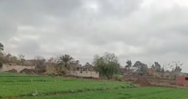 طقس المنوفية الآن.. برودة فى الجو وغيوم بالسماء على كافة الأنحاء.. فيديو لايف
