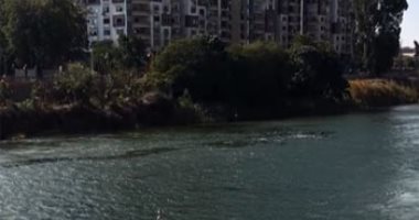 صباح مشمس فى محافظة أسيوط مع انخفاض فى درجات الحرارة.. فيديو لايف