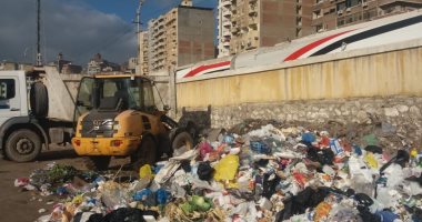 استمرار حملات إزالة التعديات على أملاك الدولة وإيقاف البناء المخالف بالإسكندرية