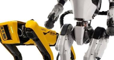 روبوت Stretch يصل مستودعات DHL فى أول عملية شراء له بقيمة 15 مليون دولار
