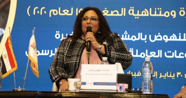 تنمية المشروعات: ضخ 17 مليار جنيه خلال 7 سنوات لتنمية المشروعات الصغيرة 