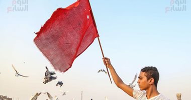 راية وصفارة وشقلبظات فى الهوا.. تربية الحمام هواية مش غية والسلام