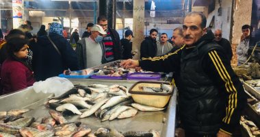 الجمبرى بـ100 والدنيس بـ120 جنيها.. جولة فى سوق السمك بالإسماعيلية.. لايف