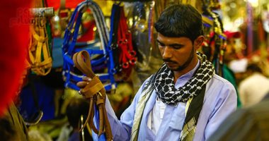 سرج ولجام وسلسلة.. سوق مستلزمات الخيل والحنطور