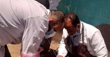 مسح تناسلى شامل لـ5 آلاف رأس ماشية والتلقيح الاصطناعى لـ 1306 بالشرقية