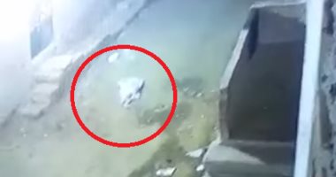 الكشف عن قاتل الطفلة "ساندى" والتخلص من جثتها أمام منزلها بالصف.. صور