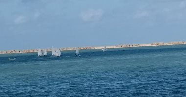 سطوع للشمس واستقرار حالة الطقس بالإسكندرية.. لايف وصور