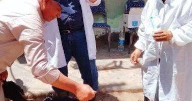 "بيطرى الشرقية" يكشف عن رش 82 ألفا و509 رؤوس ماشية وتجريع 46 ألفا و545 رأسا