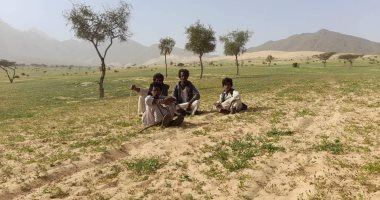 جبل علبة تنبض بالجمال.. أكبر المحميات الطبيعية فى مصر ترتدى الأخضر (صور)