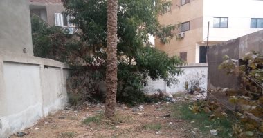 "الأيد الشغالة".. رفع القمامة من الوحدة المحلية بكفر غطاطى بمحافظة الجيزة