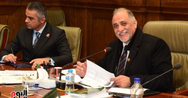رئيس "تضامن النواب": الدولة المصرية تخطو خطوات واسعة نحو تحقيق التنمية