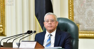 مجلس النواب يوافق على المادة المنظمة لإنشاء المجلس الصحى المصرى