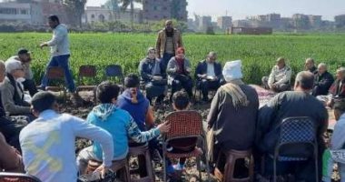 زراعة الشرقية تُنفذ مدرستين حقليتين عن زراعة القمح والفراولة