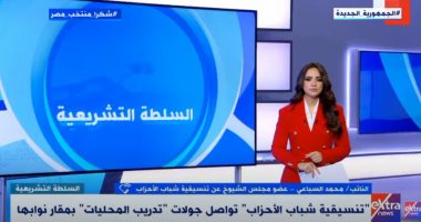 محمد السباعى: تنسيقية شباب الأحزاب ترسخ لسياسة بمفهوم جديد