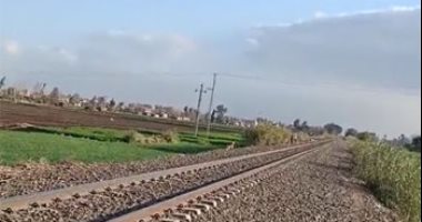 تفاصيل وفاة معيدة بكلية الطب بجامعة المنوفية فى ظروف غامضة.. فيديو لايف