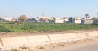 الانتهاء من تأهيل وتبطين 449.400 كيلو ترع ضمن "حياة كريمة" بالمنيا.. لايف