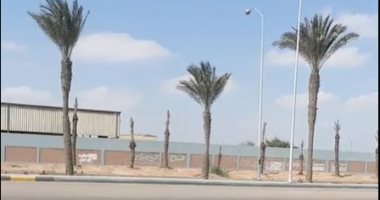 الغيوم تغطى سماء الوادى الجديد وانخفاض ملحوظ بدرجات الحرارة.. فيديو